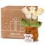 WenmthG Kleines Dankeschön Geschenk Glücksbringer Gehäkelte Blume Maiglöckchen für Frauen Freunde Kollegen Abschied Ruhestand Weihnachts Papa Mama Oma Opa Pocket Hug Positive Kartoffel Deutsch Ersatz