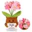 WenmthG Kleines Dankeschön Geschenk Glücksbringer Gehäkelte Rosa Blume für Frauen Freunde Kollegen Abschied Ruhestand Weihnachts Papa Mama Oma Opa Pocket Hug Blume Positive Kartoffel Deutsch Ersatz