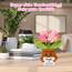 WenmthG Kleines Dankeschön Geschenk Glücksbringer Gehäkelte Rosa Blume für Frauen Freunde Kollegen Abschied Ruhestand Weihnachts Papa Mama Oma Opa Pocket Hug Blume Positive Kartoffel Deutsch Ersatz