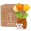 WenmthG Kleines Dankeschön Geschenk Glücksbringer Gehäkelte Blume Tulpen für Frauen Freunde Kollegen Abschied Ruhestand Weihnachts Papa Mama Oma Opa Pocket Hug Blume Positive Kartoffel Deutsch Ersatz