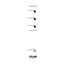 Music Flash Cards - Set A: Hal Leonard Student Piano Library | 120 Lernkarten für Klavier Anfänger | Notenlesen, Rhythmus & musikalische Grundlagen ... 120 Cards for Any Beginning Music Student