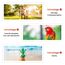 Koala Inkjet Hochglänzend Fotopapier DIN A4, 200 g/m², 100 Blatt, für Canon HP Epson Tintenstrahldrucker