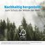 HP Advanced Glossy Fotopapier, glänzend (Q8692A) 250g/m² 10x15cm 100 Blatt, weiß