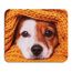 AOKSUNOVA Mauspad Lustig Klein Mousepad Design mit Motiv 240 x 200 mm