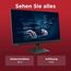 Lenovo L24-4e | 23.8" Full HD WLED Monitor | 1920x1080 | 16:9 | 100 Hz | 4ms Reaktionszeit | IPS-Panel | HDMI | VGA Anschluss | Entspiegelt | Raven schwarz | 3 kg