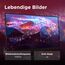 Lenovo L27-41 | 27'' Full HD WLED Monitor | 1920 x 1080 | 16:9 | 100Hz | 4ms Reaktionszeit | HDMI | VGA | 3-seitig IPS Panel | Raven schwarz | 4.1 kg