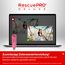 SANDISK Phone Drive mit USB Type-C 1 TB (Flash-Laufwerk für Smartphones, Tablets und Computer, 150 MB/s Lesen, Schlüsselring-Öse zur Mitnahme, 1 Jahr RescuePRO Deluxe-Software) - Seastar Pink