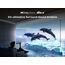 TCL 55T6C 55 Zoll QLED Fernseher, 4K UHD Fire TV, HDR10+, Dolby Vision & Atmos, Smart TV mit Sprachsteuerung mit Alexa, Google Cast & AirPlay 2