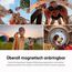 Insta360 GO Ultra Lauf-Bundle Nachtschwarz - freihändige 4K Mini-Cam, leicht & mobil, top bei wenig Licht, überall anbringbar, FlowState-Stabilisierung, 200 Min Akku, 10 m wasserdicht