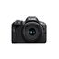 Canon EOS R100 (Gehäuse) mit RF-S 18–45mm & 55–210mm is STM – 24,1 MP APS-C Systemkamera – Dual Pixel CMOS AF, 4K-Video, 6,5 B/s, WLAN & Bluetooth - Perfekt, um kostbare Erinnerungen festzuhalten