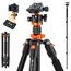 K&F Concept Kamera Stativ, Tripod mit 360°Kugelkopf, Tragbares Stativ für Canon Nikon Sony und andere DSLR Kameras, Aluminium Fotostativ Einbeinstativ K255A4+BH-28L