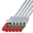 BIGtec LAN Kabel 0,15m Netzwerkkabel grau - 5 Stück - Gigabit Ethernet Kabel RJ45 Stecker Patchkabel für Patchpanel Netzwerk Switch Gaming kompatibel Playstation 5 PS5 XBOX Nintendo Switch 2-Station