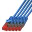 BIGtec LAN Kabel 0,25m Netzwerkkabel blau - 5 Stück - Gigabit Ethernet Kabel RJ45 Stecker Patchkabel für Patchpanel Netzwerk Switch Gaming kompatibel Playstation 5 PS5 XBOX Nintendo Switch 2-Station