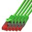 BIGtec LAN Kabel 0,15m Netzwerkkabel grün - 5 Stück - Gigabit Ethernet Kabel RJ45 Stecker Patchkabel für Patchpanel Netzwerk Switch Gaming kompatibel Playstation 5 PS5 XBOX Nintendo Switch 2-Station