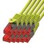 BIGtec LAN Kabel 0,75m Netzwerkkabel gelb - 10 Stück - Gigabit Ethernet Kabel RJ45 Stecker Patchkabel für Patchpanel Netzwerk Switch Gaming kompatibel Playstation 5 PS5 XBOX Nintendo Switch 2-Station