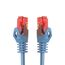 BIGtec LAN Kabel 0,5m Netzwerkkabel blau Gigabit Ethernet Kabel RJ45 Stecker Patchkabel für Patchpanel Netzwerk Switch Gaming PC kompatibel Playstation 5 PS5 XBOX Nintendo Switch 2 -Station 0,5 Meter