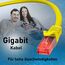BIGtec LAN Kabel 0,5m Netzwerkkabel gelb - 10 Stück - Gigabit Ethernet Kabel RJ45 Stecker Patchkabel für Patchpanel Netzwerk Switch Gaming kompatibel Playstation 5 PS5 XBOX Nintendo Switch 2-Station