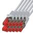 BIGtec LAN Kabel 10m Netzwerkkabel grau - 10 Stück - Gigabit Ethernet Kabel RJ45 Stecker Patchkabel für Patchpanel Netzwerk Switch Gaming kompatibel Playstation 5 PS5 XBOX Nintendo Switch 2-Station