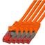 BIGtec LAN Kabel 50m Netzwerkkabel orange - 5 Stück - Gigabit Ethernet Kabel RJ45 Stecker Patchkabel für Patchpanel Netzwerk Switch Gaming kompatibel Playstation 5 PS5 XBOX Nintendo Switch 2-Station
