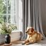 MIULEE Silbergrau Samtvorhang Ösen 2er Set 140X225, Blickdichte Vorhänge Samt für Deko Schlafzimmer Wohnzimmer, Sehr Weicher Vorhang Verdunkelung Velvet Curtains, Verdunkelnd Samt Gardinen Blickdicht