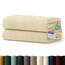 Blumtal Premium Frottier Handtücher Set 2 teilig 100% Baumwolle - Oeko-TEX zertifiziertes Towel 2X (50x100 cm) - Ultra saugstarkes Frottier Handtücher Set waschbar °60 - Towel - Handtuch Beige