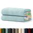 Blumtal Premium Frottier Handtücher Set 2 teilig 100% Baumwolle - Oeko-TEX zertifiziertes Badetuch 2X (70x140 cm) - Ultra saugstarkes Frottiertücher Set waschbar °60 - Handtuch Hellblau