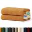 Blumtal Premium Frottier Handtücher Set 2 teilig 100% Baumwolle - Oeko-TEX zertifiziertes Towel 2X (50x100 cm) - Ultra saugstarkes Frottier Handtücher Set waschbar °60 - Towel - Handtuch Hellbraun