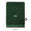 Blumtal Premium Frottier Waschlappen Set 10 teilig 100% Baumwolle - Oeko-TEX zertifizierte Waschlappen 10x (15x20 cm) - Ultra saugstarkes Frottier Seiftücher Set waschbar °60 - Seiflappen Dunkelgrün