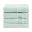 Cotton Paradise Türkische Waschlappen für Badezimmer, 100% Baumwolle, weich, saugfähig, kleine Handtücher, Flauschige Waschlappen für Körper, Minze-Waschlappen