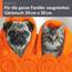 Lashuma 6er Set Badezimmer Gästehandtücher Orange - Clementinen, London Frottee Gesichtstücher 30x30 cm