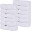 Superior Gesichtshandtuch/Waschlappen-Set aus Baumwolle, kleine Gesichtstücher, Spa, Hotel, Gäste, Zuhause, Badezimmer, Basics, Plüsch, weich, saugfähig, luxuriös, schnell trocknend, Zero Twist
