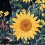 Duschvorhang mit niedlicher Katze, lustig, schwarze Katzen, Boho, Blumenmuster, Vintage-Stil, Sonnenblume, für Badezimmer, Tier, Wildblume, Bauernhaus, wasserdichter Stoff, Dekoration, 183 x 183 cm
