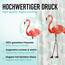 arteneur® - Flamingo - Anti-Schimmel Duschvorhang 120x200 - Recycelt mit Öko-Tex Standard 100 - Beschwerter Saum, Blickdicht, Wasserdicht, Waschbar, 8 Haken & E-Book