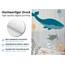 arteneur® - Wasserwelt grau - Anti-Schimmel Duschvorhang 180x200 - Recycelt mit Öko-Tex Standard 100 - Beschwerter Saum, Blickdicht, Wasserdicht, Waschbar, 12 Ringe & E-Book