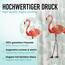 arteneur® - Flamingo - Anti-Schimmel Duschvorhang 180x200 - Recycelt mit mit Öko-Tex Standard 100 - Beschwerter Saum, Blickdicht, Wasserdicht, Waschbar, 12 Ringe & E-Book mit Reinigungs-Tipps
