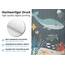 arteneur® - Wasserwelt Dunkelgrau - Anti-Schimmel Duschvorhang 180x200 - Recycelt mit Öko-Tex Standard 100 - Beschwerter Saum, Blickdicht, Wasserdicht, Waschbar, 12 Ringe & E-Book