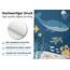 arteneur® - Wasserwelt Blau - Anti-Schimmel Duschvorhang 180x200 - Recycelt mit Öko-Tex Standard 100 - Beschwerter Saum, Blickdicht, Wasserdicht, Waschbar, 12 Ringe & E-Book mit Reinigungs-Tipps