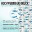 arteneur® - Blaue Fische - Anti-Schimmel Duschvorhang 200x200 - Recycelt mit Öko-Tex Standard 100 - Beschwerter Saum, Blickdicht, Wasserdicht, Waschbar, 12 Ringe