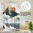 arteneur® - Japan - Anti-Schimmel Duschvorhang 200 x 200 - Recycelt mit Öko-Tex Standard 100 - Beschwerter Saum, Blickdicht, Wasserdicht, Waschbar, 12 Ringe & E-Book
