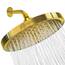 SparkPod Duschkopf – Hochdruckregen – Luxuriöser moderner Look – werkzeuglose 1-Minuten-Installation – der perfekte verstellbare Ersatz für Ihr Badezimmer Duschköpfe (20,3 cm kreisförmig, Gold)