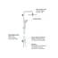 GROHE Vitalio Joy 260, Duschset ohne Armatur, wassersparend, 8l pro Min (Regendusche für vorhandene Armaturen, Kopfbrause mit 3 Strahlarten, Duschstange 74cm, Duschsystem), chrom, 27421002