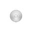Kohler 72419-G-CP Erwachen Awaken Multifunktions-Duschköpfe, poliertes Chrom, Showerhead