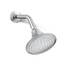 Kohler K-10282-Ak-Cp Forte Duschkopf mit 1 Funktion, Chrom poliert