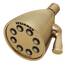 Speakman S-2251-BBZ Signature Icon Anystream Hochdruck-Duschkopf, verstellbar, massives Messing, gebürstete Bronze