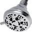 AquaDance Shower Head with 6-Setting, Chrome Finish by AquaDance?