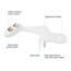 LUXE Bidet NEO 120 - Selbstreinigende Düse, Frischwasser Nicht Elektrischer Bidet-Aufsatz für Toilettensitz, Einstellbarer Wasserdruck, Heckwaschanlage (Gold)