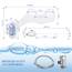 Bidet-Aufsatz, SNAN WC-Bidet, nicht elektrisch, selbstreinigend, Doppeldüse (Posterior/Feminine Wash), frisches kaltes Wasser, Sprühgerät, Bidet mit verstellbarem Wasserdruck Toilettensitzaufsatz
