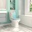 WOLTU Toilettendeckel mit Absenkautomatik Klodeckel WC Sitz Softclose Klobrille mit Quick Release Funktion Duroplast Oval einfache Montage Strandholz