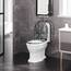 WOLTU Toilettendeckel, WC Sitz mit Absenkautomatik, Klodeckel mit Quick-Release-Funktion, Klobrille O-Form mit Motiv, Montage von oben zu unten, 175 kg belastbar