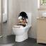 WOLTU Toilettendeckel, WC Sitz mit Absenkautomatik, Klodeckel Quick-Release-Funktion, O-Form-Toilettensitz mit Motiv, Montage oben unten, Duroplast